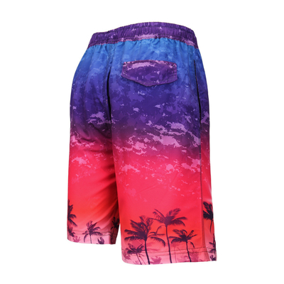 Summer Parited Beach Wear Colorful 2XL SUP Board Shorts