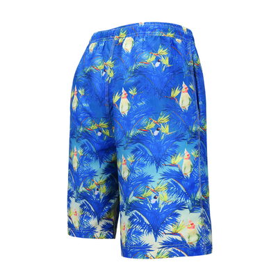 Digital Printed Polyester Men'S Wide Leg Blue Beach Shorts